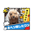 OKです❤クレオ君とマリーちゃん（個別スタンプ：38）