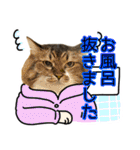けのとちっちのスタンプ（個別スタンプ：2）