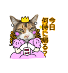 けのとちっちのスタンプ（個別スタンプ：3）