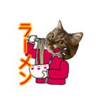 けのとちっちのスタンプ（個別スタンプ：9）