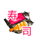 けのとちっちのスタンプ（個別スタンプ：19）