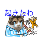 けのとちっちのスタンプ（個別スタンプ：21）