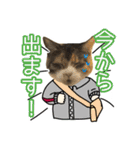 けのとちっちのスタンプ（個別スタンプ：23）