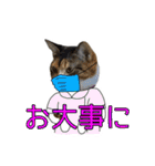けのとちっちのスタンプ（個別スタンプ：26）
