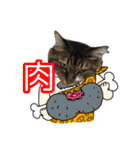 けのとちっちのスタンプ（個別スタンプ：28）