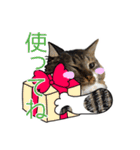 けのとちっちのスタンプ（個別スタンプ：31）