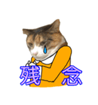 けのとちっちのスタンプ（個別スタンプ：33）