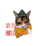 けのとちっちのスタンプ（個別スタンプ：37）