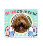 マルプーのモブ5（個別スタンプ：3）