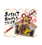 マルプーのモブ5（個別スタンプ：7）