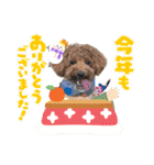 マルプーのモブ5（個別スタンプ：8）