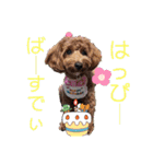 マルプーのモブ5（個別スタンプ：9）