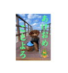 マルプーのモブ5（個別スタンプ：12）