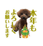 マルプーのモブ5（個別スタンプ：14）