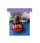 マルプーのモブ5（個別スタンプ：17）