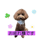 マルプーのモブ5（個別スタンプ：23）