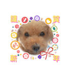 祝❤クレオ君とマリーちゃん（個別スタンプ：1）