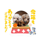 祝❤クレオ君とマリーちゃん（個別スタンプ：3）