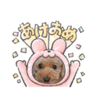 祝❤クレオ君とマリーちゃん（個別スタンプ：4）