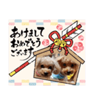 祝❤クレオ君とマリーちゃん（個別スタンプ：5）