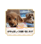 祝❤クレオ君とマリーちゃん（個別スタンプ：6）