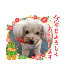 祝❤クレオ君とマリーちゃん（個別スタンプ：7）