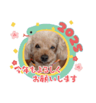 祝❤クレオ君とマリーちゃん（個別スタンプ：8）
