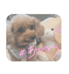 祝❤クレオ君とマリーちゃん（個別スタンプ：15）