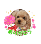 祝❤クレオ君とマリーちゃん（個別スタンプ：16）