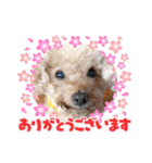 祝❤クレオ君とマリーちゃん（個別スタンプ：18）