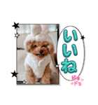祝❤クレオ君とマリーちゃん（個別スタンプ：27）