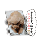 祝❤クレオ君とマリーちゃん（個別スタンプ：28）