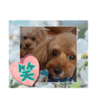 祝❤クレオ君とマリーちゃん（個別スタンプ：31）