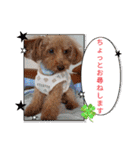 祝❤クレオ君とマリーちゃん（個別スタンプ：33）