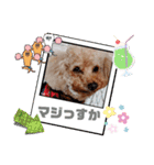 祝❤クレオ君とマリーちゃん（個別スタンプ：34）