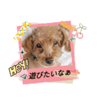祝❤クレオ君とマリーちゃん（個別スタンプ：35）