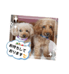 祝❤クレオ君とマリーちゃん（個別スタンプ：37）