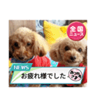 祝❤クレオ君とマリーちゃん（個別スタンプ：40）