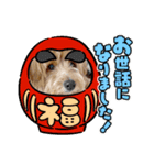今年もよろしくわん（個別スタンプ：2）