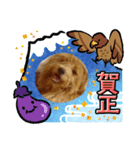 今年もよろしくわん（個別スタンプ：8）