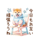 喜怒哀楽の激しい柴犬♡パステルカラー（個別スタンプ：1）