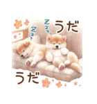 喜怒哀楽の激しい柴犬♡パステルカラー（個別スタンプ：36）