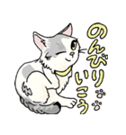 ブランと3匹の猫（個別スタンプ：9）