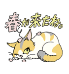 ブランと3匹の猫（個別スタンプ：21）