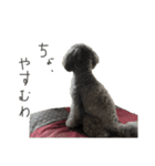 おくぅくぅ（個別スタンプ：2）