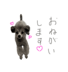 おくぅくぅ（個別スタンプ：3）
