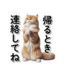 毎日使う☆家族への連絡・メッセージ☆猫（個別スタンプ：1）