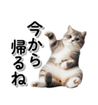 毎日使う☆家族への連絡・メッセージ☆猫（個別スタンプ：2）