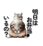 毎日使う☆家族への連絡・メッセージ☆猫（個別スタンプ：9）