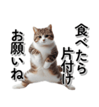 毎日使う☆家族への連絡・メッセージ☆猫（個別スタンプ：10）